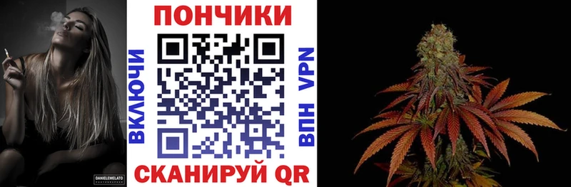 Конопля Bruce Banner  Купить где  Суоярви 